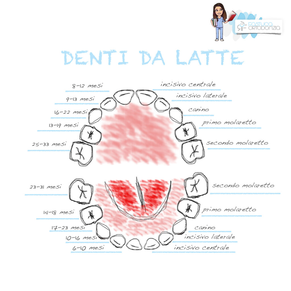 denti da latte